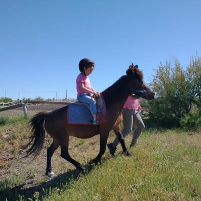 123965260_1792982590877937_1479827992764758388_o-1