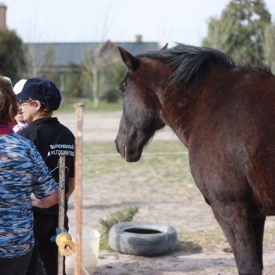 71518045_1370280559814811_6254402561223163904_o