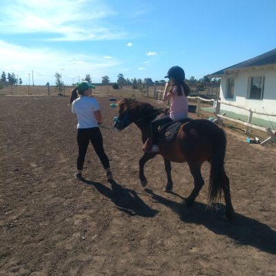 IMG_20211102_155312975