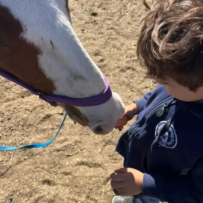 WhatsApp Image 2025-06-16 at 7.11.13 PM