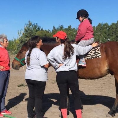 WhatsAppImage2019-05-11at10.05.53_201905130010_resized_800x600