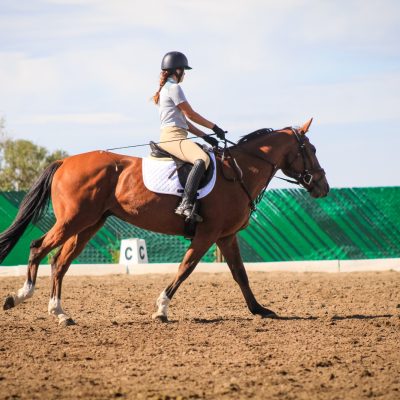 Clínica Mara Osacar