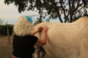 WhatsApp Image 2026-01-25 at 3.12.53 PM (1)