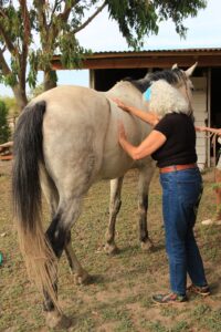 WhatsApp Image 2026-01-25 at 3.12.53 PM (3)