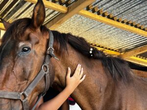 WhatsApp Image 2026-01-25 at 8.42.42 PM (1)