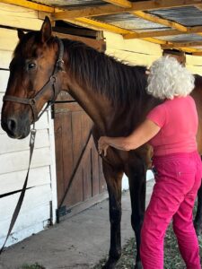 WhatsApp Image 2026-01-25 at 8.42.42 PM